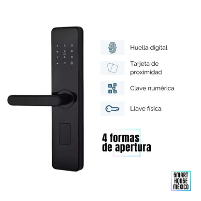 Cerradura de Seguridad 4 Métodos de Apertura - Nebula