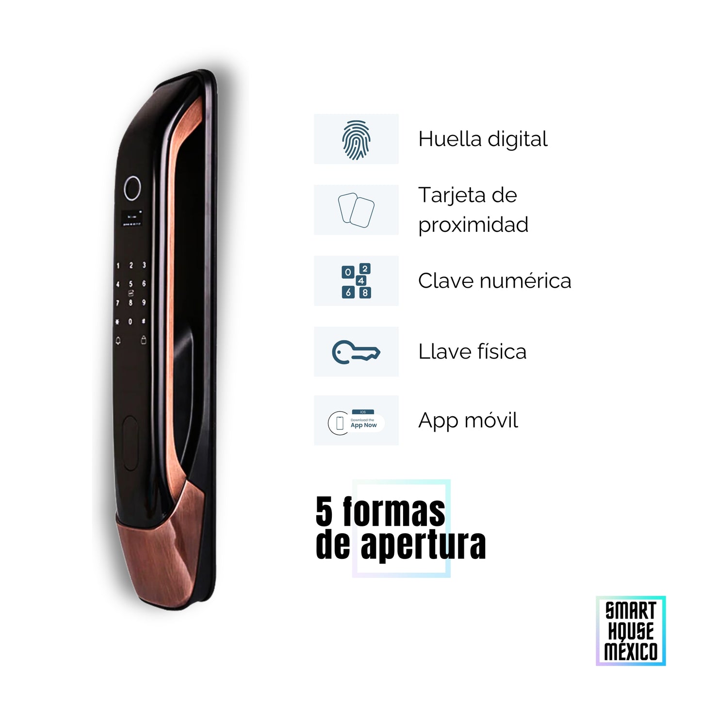 Cerradura Electrónica Wifi De Seguridad con Timbre y 5 Métodos de Apertura - Orbit Bronce